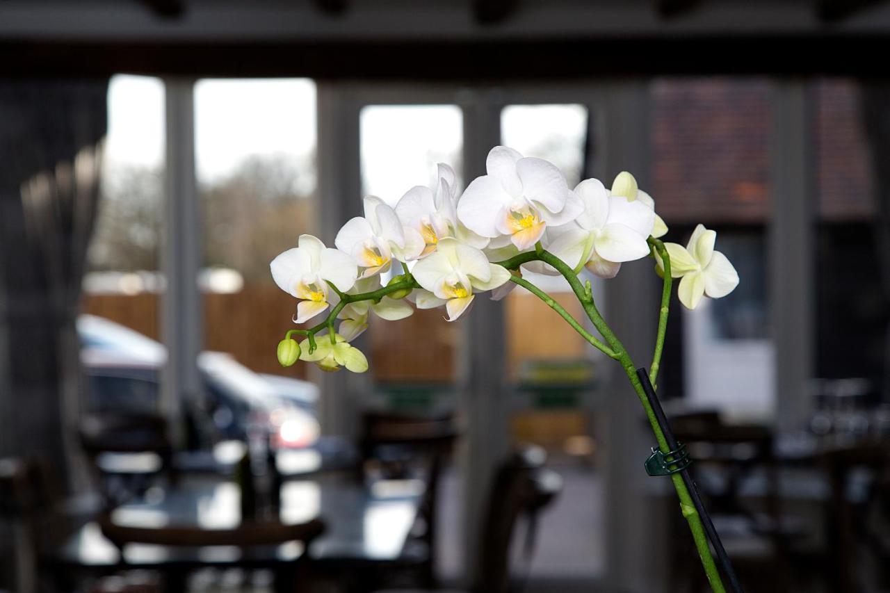 The Maple Manor Hotel Crawley  Luaran gambar
